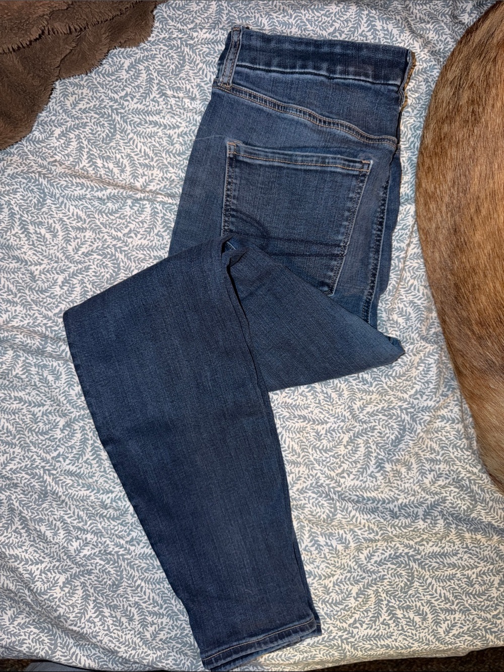 American Eagle Outfitters Dark Blue Skinny Jeans